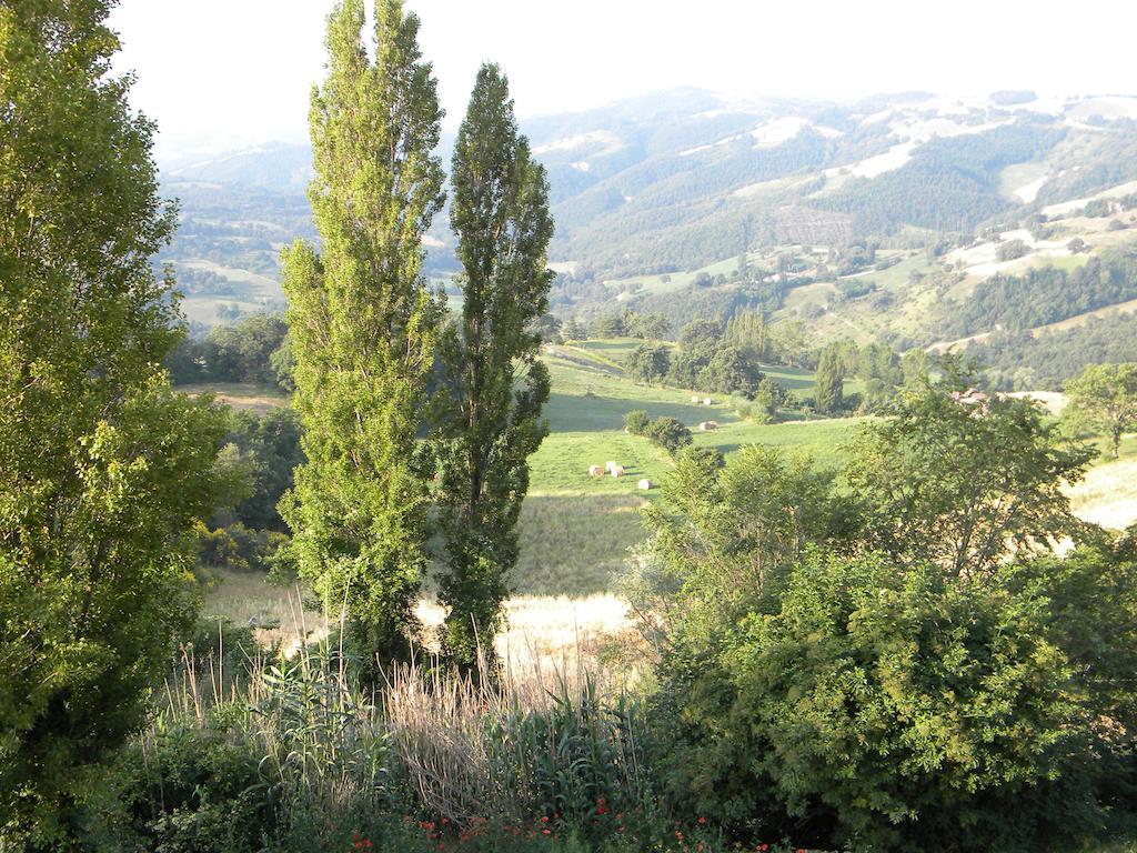 Agriturismo Borgo San Benedetto Villa Pietralunga  Esterno foto