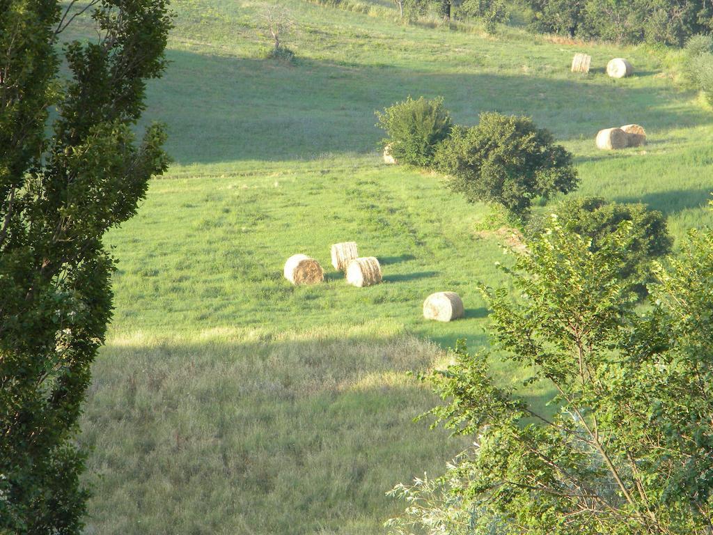 Agriturismo Borgo San Benedetto Villa Pietralunga  Esterno foto