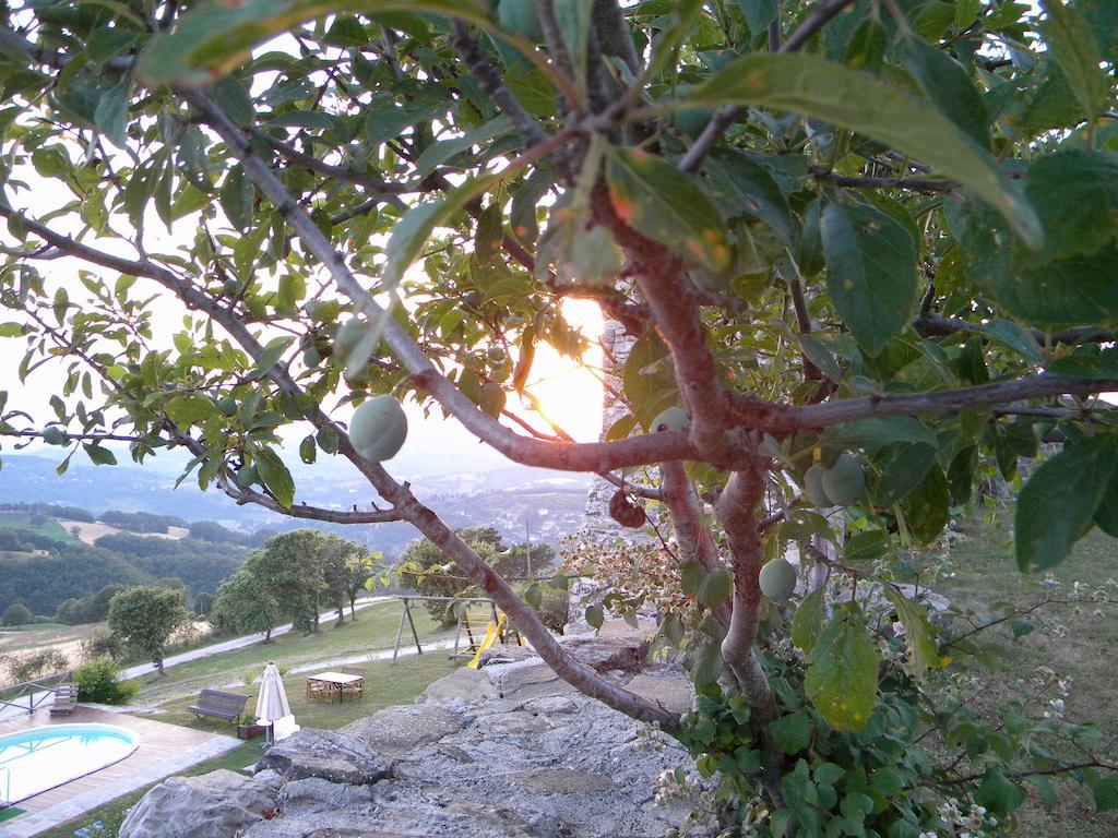 Agriturismo Borgo San Benedetto Villa Pietralunga  Esterno foto