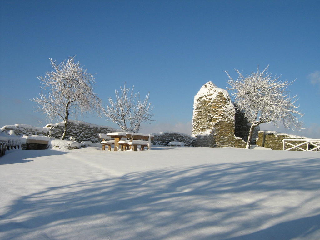 Agriturismo Borgo San Benedetto Villa Pietralunga  Esterno foto